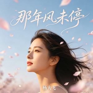 那年风未停