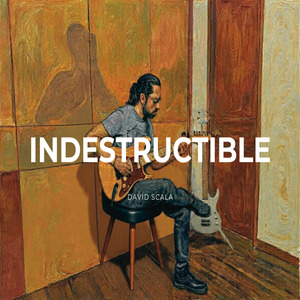 Indestructible