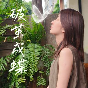 破茧成蝶
