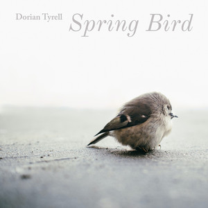 Spring Bird