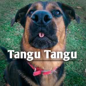 Tangu Tangu