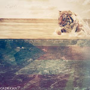 Living Inside Your Love