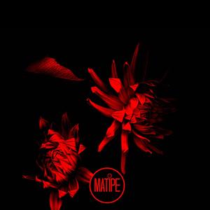 Sintético (Original Mix)