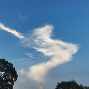 Alan Walker-Dense fog（我梦 remix）