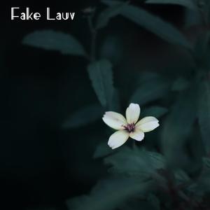 Beatiful Lie