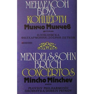 Violin Concerto No. 1 in G Minor, Op. 26: I. Allegro moderato