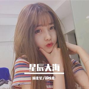 星辰大海 (小提琴完整版)