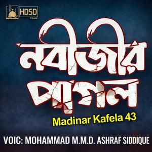 আমি নবীজীর পাগল