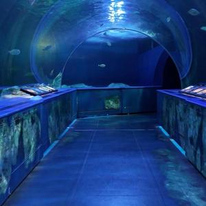 言えなかっただけ