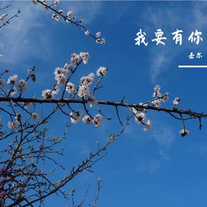 只要有你