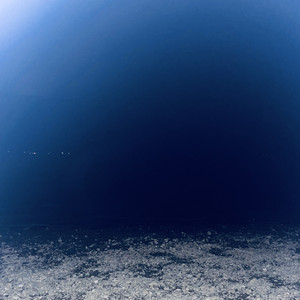 上京しないで ("お米の佃煮"Cover)