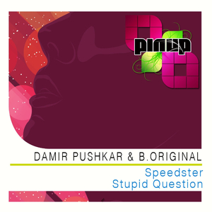 Stupid Question (Original Mix)