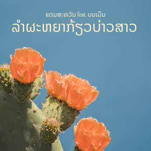 ລຳຜະຫຍາກ້ຽວບ່າວສາວ