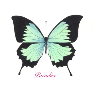 Paradise