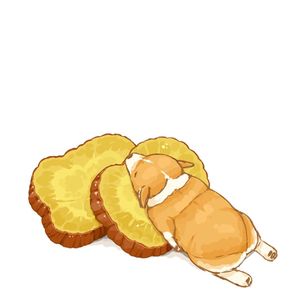 小拳拳捶你胸口（Cover 西瓜JUN）