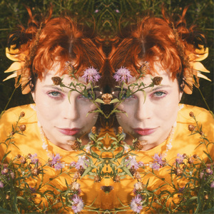 Полевые цветы