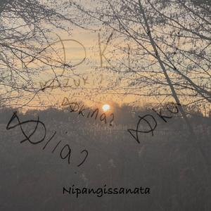 Nipangissanata