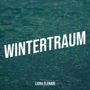 Wintertraum