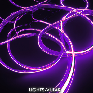 Lights