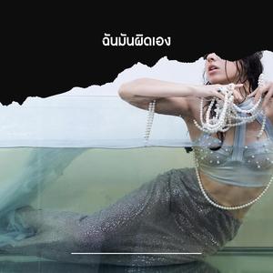 ฉันมันผิดเอง