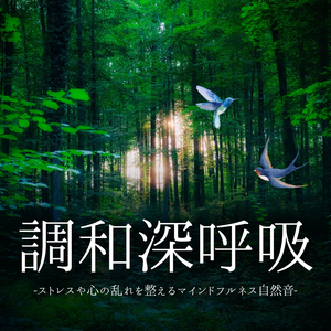 自然集中瞑想