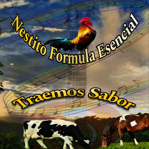 Traemos Sabor
