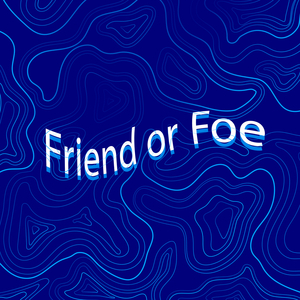 Friend or Foe