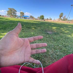 all my love (tenguzavr)