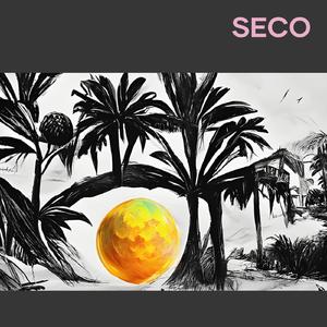 Seco