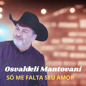 SÓ ME FALTA SEU AMOR