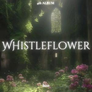 WHISTLEFLOWER