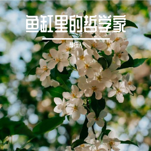 鱼缸里的哲学家