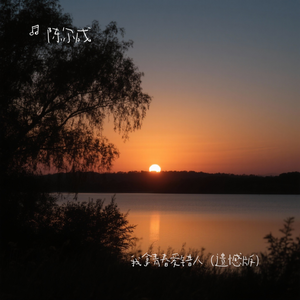 我拿青春爱错人