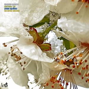 Квітень '25 (Ніби щойно не було весни)