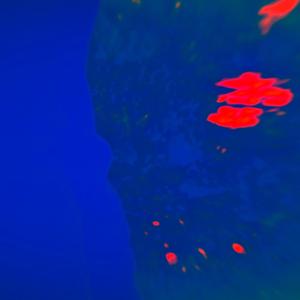 SHINNY (feat. rjmussic)