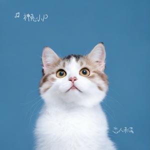 恋人未满（神兔小 P Remix）