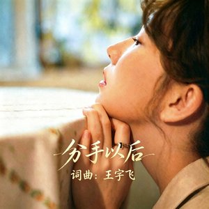 分手以后