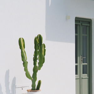 Chicken Nuggets (Acoustic)