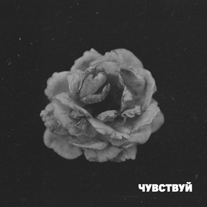 Чувствуй (Prod. by Hazzy)