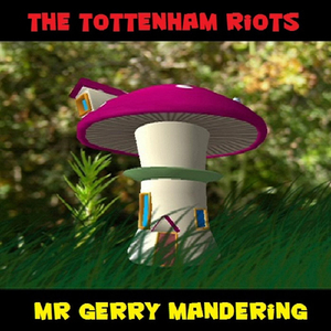 Tottenham Riots