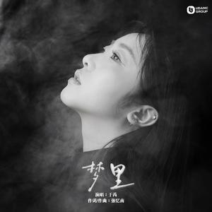 梦里