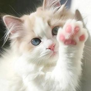 Niño de Barrio (slowed)