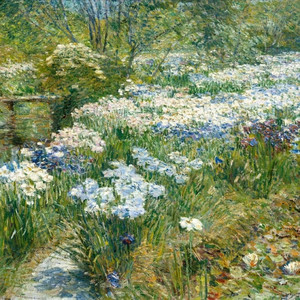 0222心动–比尔的歌