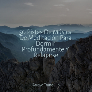 Sabiduría De Un Compañero