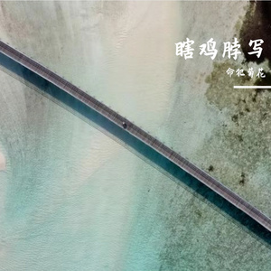 堇青