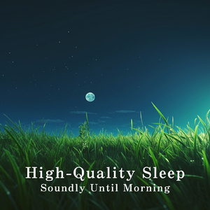 Quietude in Starlight