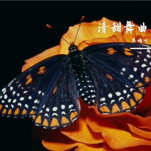 《草原动物情书》