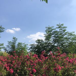 叶里-就算他是妖怪 我也会一生一世的跟着他（冰柠檬 remix）