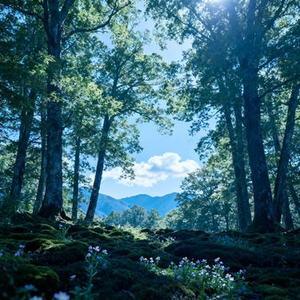 晴山见