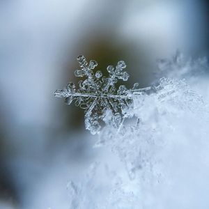 雪花
